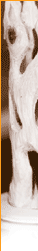 projekte_01.gif