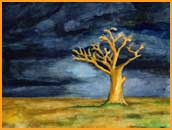 baum.jpg